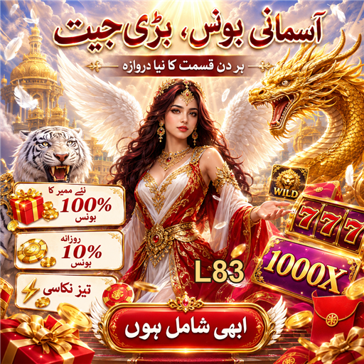 کیا ہیں کیسی نو بنیادی بونس؟